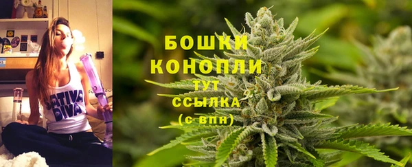 ПСИЛОЦИБИНОВЫЕ ГРИБЫ Дубна